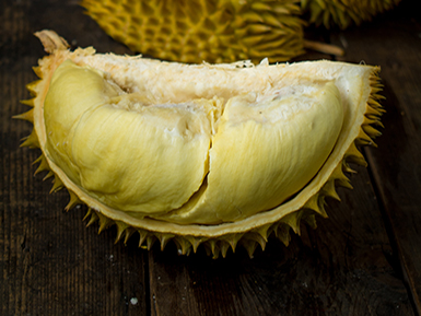 ​九游全站入口基地展示二