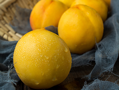 ​九游全站入口基地展示五