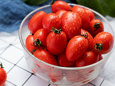 ​九游全站入口基地展示六